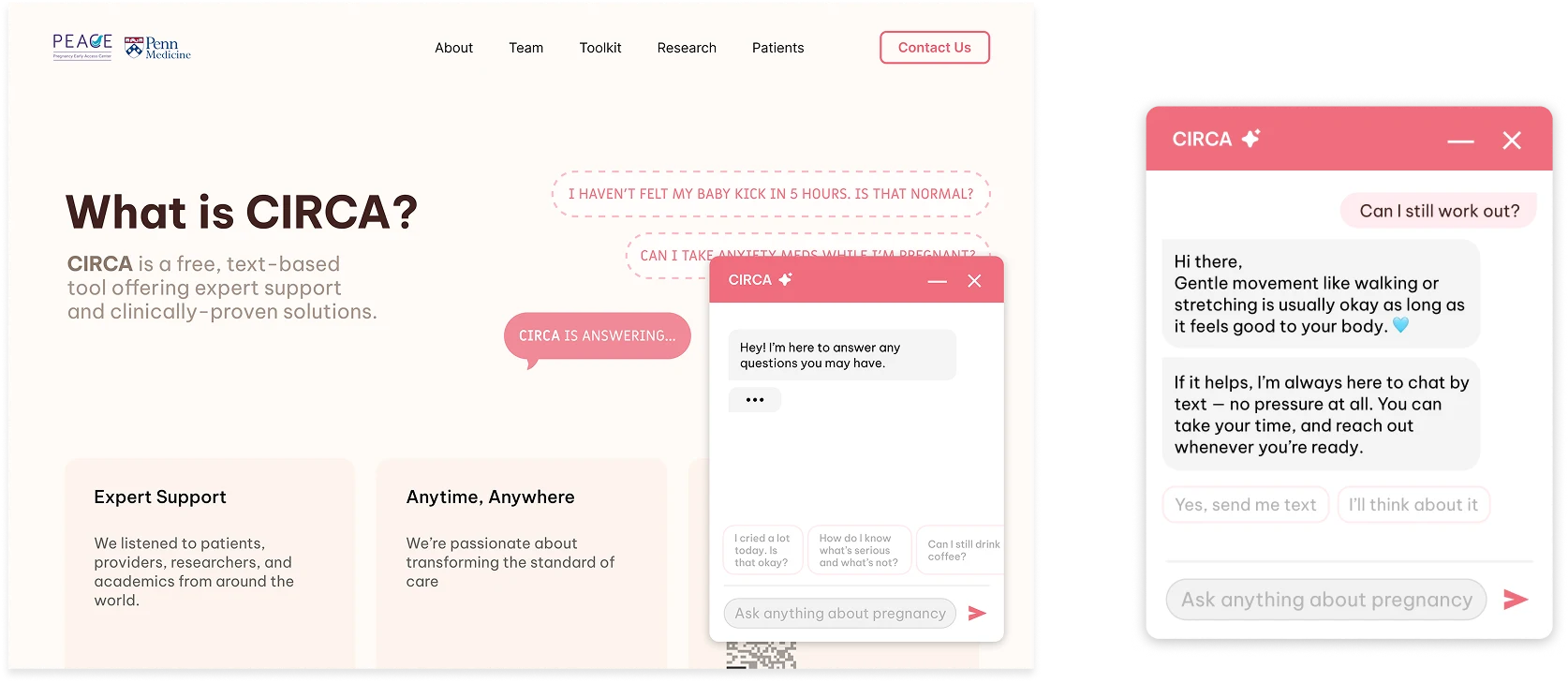 Embedded chatbot preview